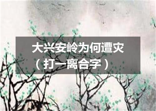 大兴安岭为何遭灾（打一离合字）