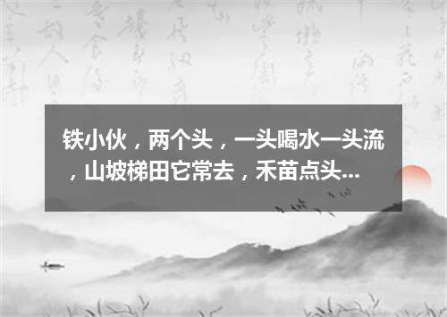 铁小伙，两个头，一头喝水一头流，山坡梯田它常去，禾苗点头乐悠悠。（打一农机用具）