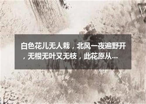 白色花儿无人栽，北风一夜遍野开，无根无叶又无枝，此花原从天上来。（打一自然现象）