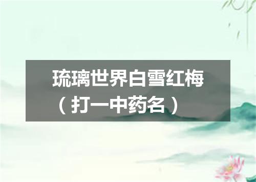 琉璃世界白雪红梅（打一中药名）