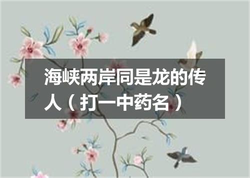 海峡两岸同是龙的传人（打一中药名）