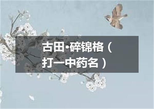 古田·碎锦格（打一中药名）