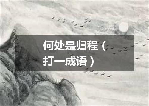 何处是归程（打一成语）