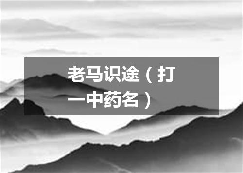 老马识途（打一中药名）