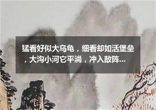 猛看好似大乌龟，细看却如活堡垒，大沟小河它平淌，冲入敌阵显神威。（打一军事装备）