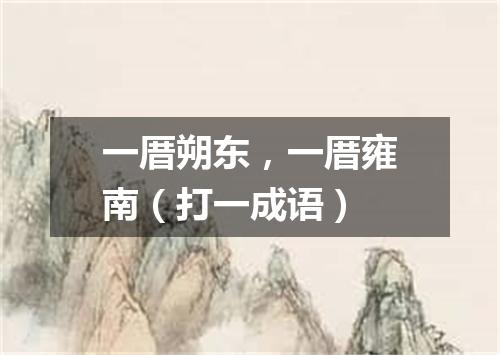一厝朔东，一厝雍南（打一成语）