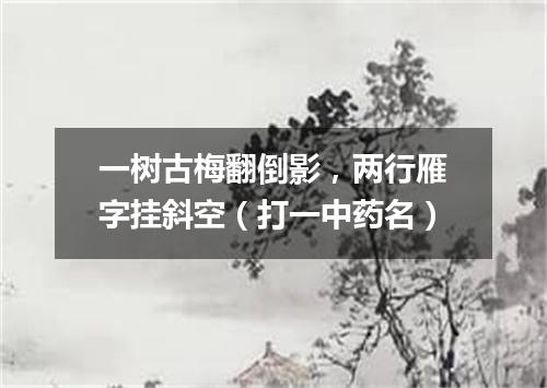 一树古梅翻倒影，两行雁字挂斜空（打一中药名）