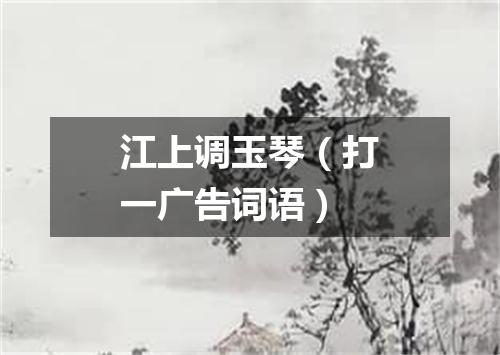 江上调玉琴（打一广告词语）