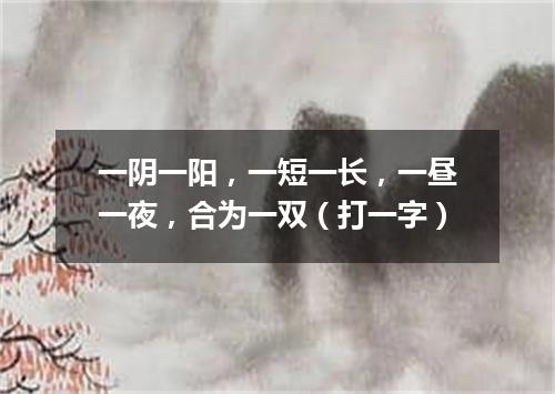 一阴一阳，一短一长，一昼一夜，合为一双（打一字）