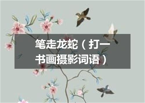 笔走龙蛇（打一书画摄影词语）