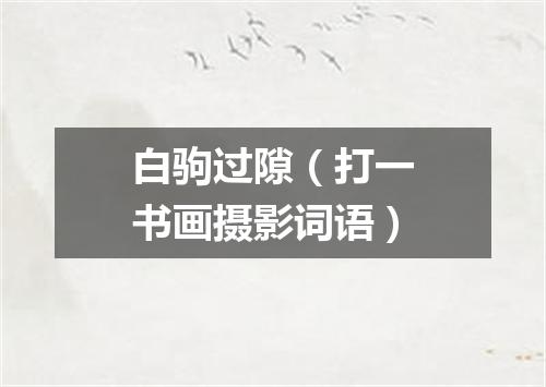 白驹过隙（打一书画摄影词语）