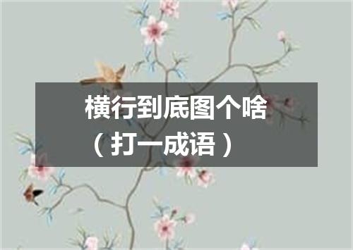 横行到底图个啥（打一成语）