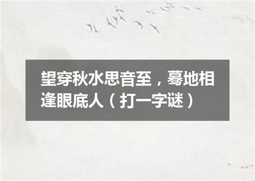 望穿秋水思音至，蓦地相逢眼底人（打一字谜）
