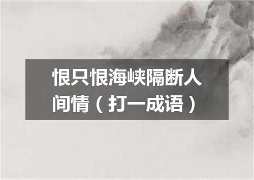 恨只恨海峡隔断人间情（打一成语）