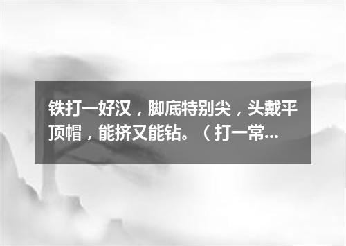 铁打一好汉，脚底特别尖，头戴平顶帽，能挤又能钻。（打一常用物）