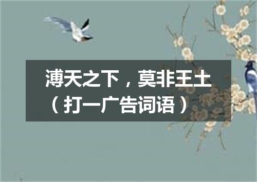 溥天之下，莫非王土（打一广告词语）