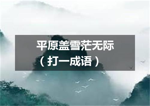 平原盖雪茫无际（打一成语）
