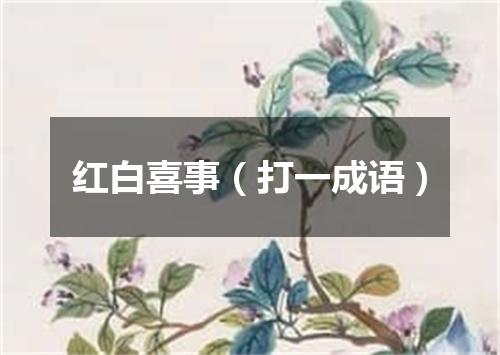 红白喜事（打一成语）