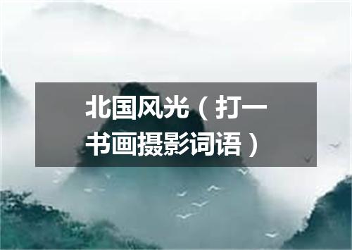 北国风光（打一书画摄影词语）