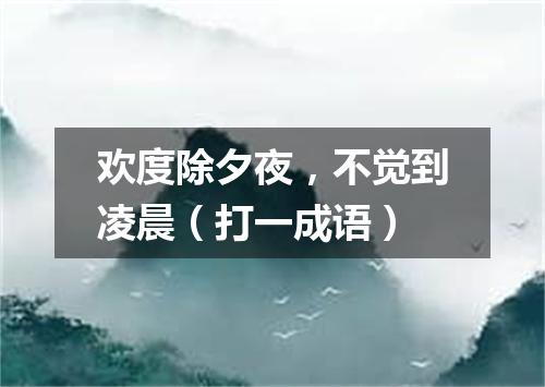 欢度除夕夜，不觉到凌晨（打一成语）