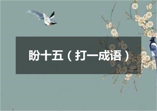 盼十五（打一成语）
