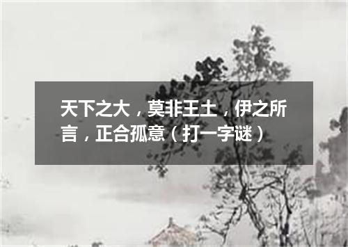 天下之大，莫非王土，伊之所言，正合孤意（打一字谜）