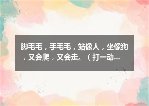 脚毛毛，手毛毛，站像人，坐像狗，又会爬，又会走。（打一动物）