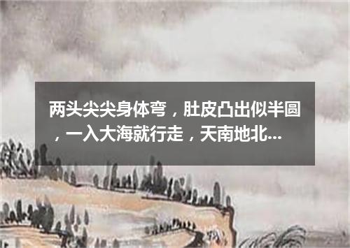 两头尖尖身体弯，肚皮凸出似半圆，一入大海就行走，天南地北游个遍。（打一交通工具）