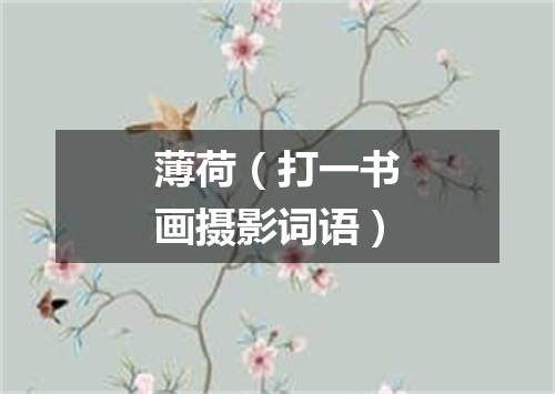 薄荷（打一书画摄影词语）