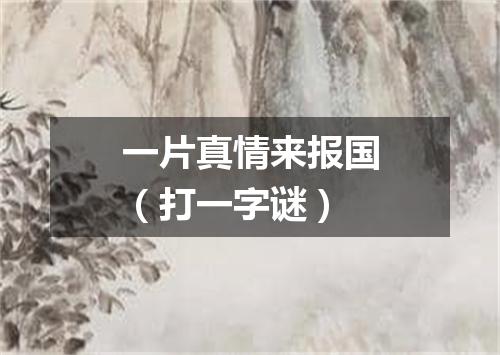 一片真情来报国（打一字谜）