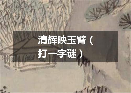清辉映玉臂（打一字谜）