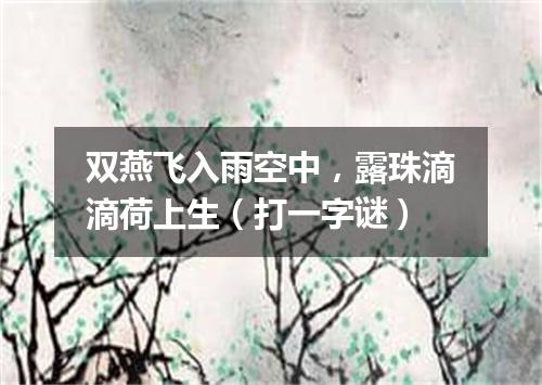 双燕飞入雨空中，露珠滴滴荷上生（打一字谜）