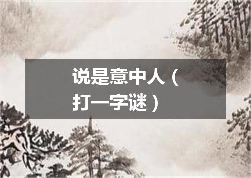 说是意中人（打一字谜）