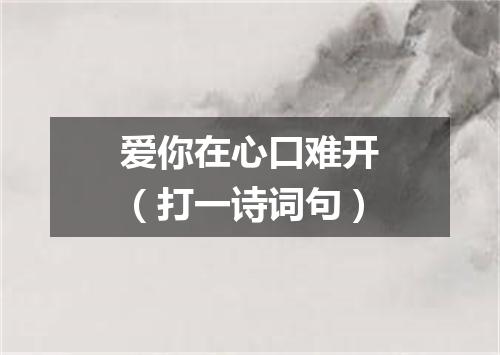 爱你在心口难开（打一诗词句）