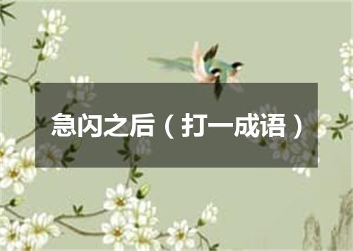 急闪之后（打一成语）