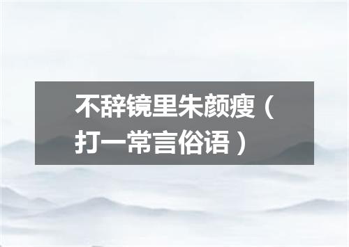 不辞镜里朱颜瘦（打一常言俗语）