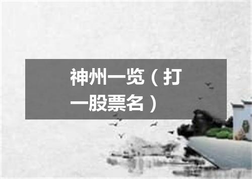 神州一览（打一股票名）