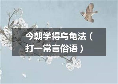今朝学得乌龟法（打一常言俗语）