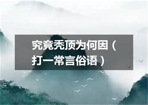 究竟秃顶为何因（打一常言俗语）