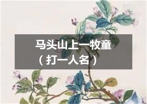 马头山上一牧童（打一人名）