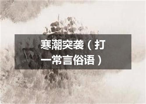 寒潮突袭（打一常言俗语）
