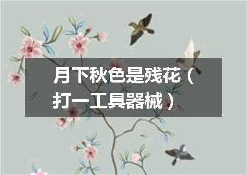 月下秋色是残花（打一工具器械）