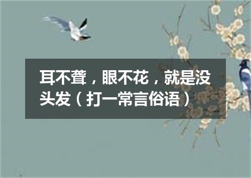 耳不聋，眼不花，就是没头发（打一常言俗语）
