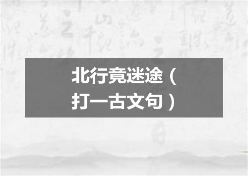 北行竟迷途（打一古文句）