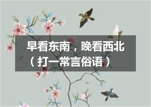 早看东南，晚看西北（打一常言俗语）