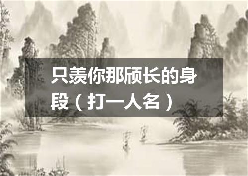 只羡你那颀长的身段（打一人名）