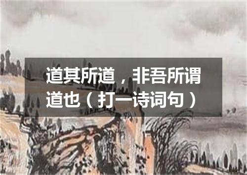 道其所道，非吾所谓道也（打一诗词句）