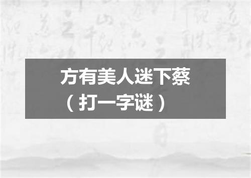 方有美人迷下蔡（打一字谜）