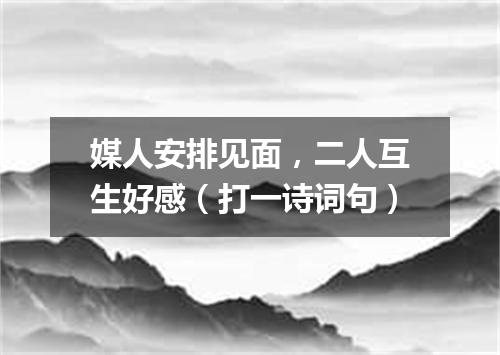 媒人安排见面，二人互生好感（打一诗词句）