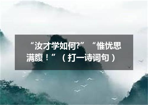 “汝才学如何?”“惟忧思满腹！”（打一诗词句）